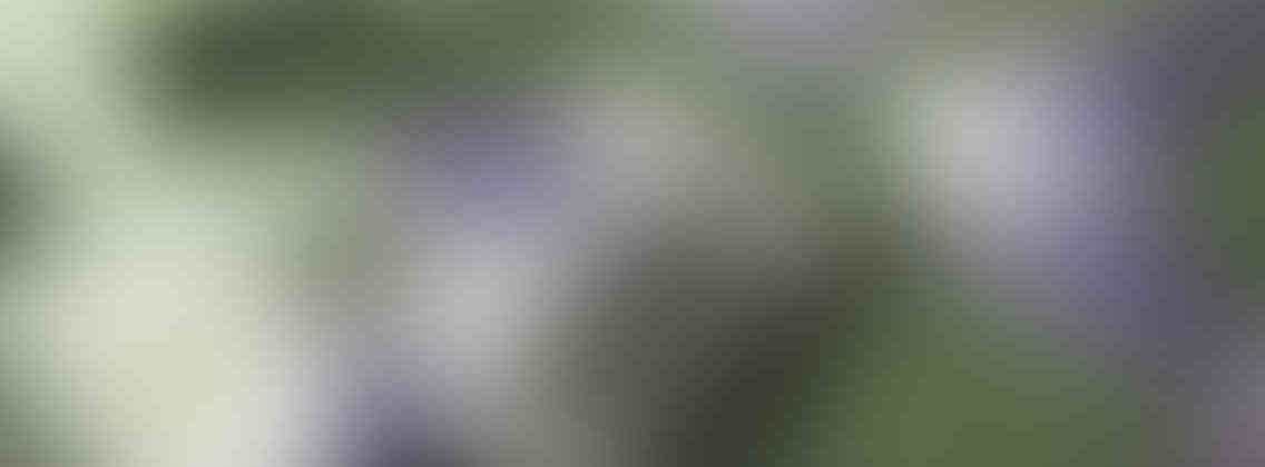https://www.serviziosegreteria.com/wordpress/wp-content/uploads/2013/03/relay_slide_3_v01-1136x420.jpg